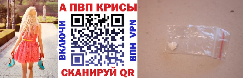 A PVP СК  Рыбинск 