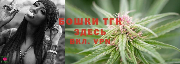 эйфоретик Аркадак