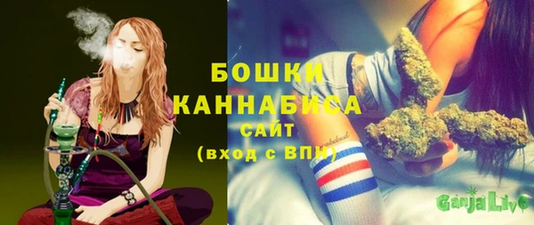 мдпв Гусев