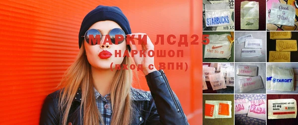apvp Инта